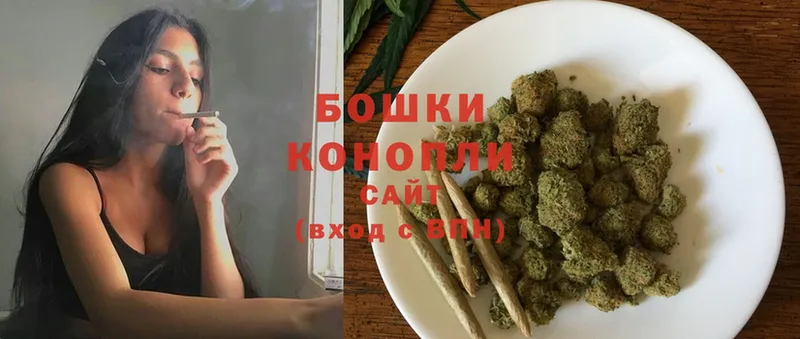 купить   Дегтярск  Бошки марихуана OG Kush 